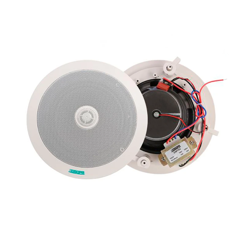 DSPPA DSP703 | 20W Ceiling Speaker