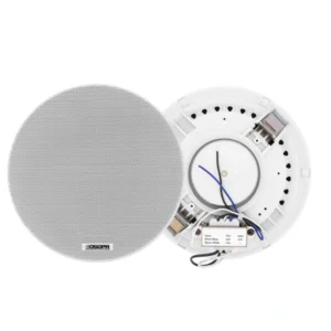 <span class="urun-markasi notranslate" translate="no">DSPPA</span><br><span class="urun-modeli notranslate" translate="no">DSP7011 | 10W Ceiling Speaker</span>